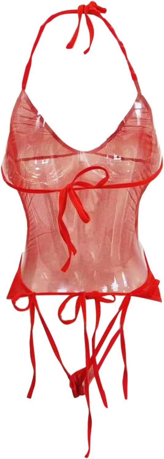 Sheer One Piece Thong Swimsuit