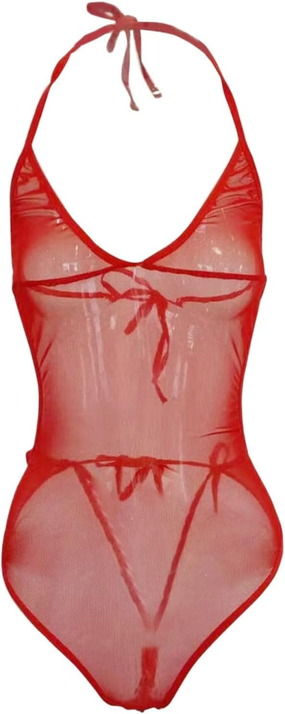 Sheer One Piece Thong Swimsuit